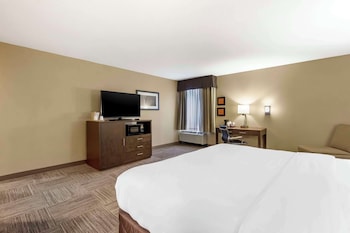 Standard Room, 1 King Bed, Non Smoking
