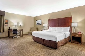 Standard Room, 1 King Bed, Non Smoking