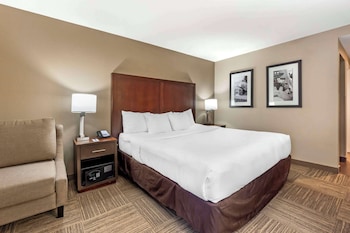 Room, 1 King Bed, Non Smoking