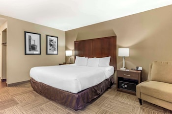 Standard Room, 1 King Bed, Non Smoking