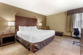 Standard Room, 1 King Bed, Non Smoking