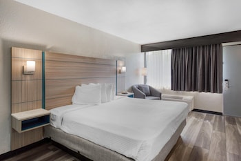 Standard Room, 1 King Bed, Smoking, Refrigerator