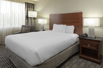 Room, 1 Queen Bed