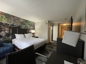 Efficiency Suite King Non Smoking 1 person Sofa bed