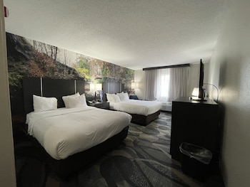 Room, 2 Queen Beds, Accessible, Non Smoking (Efficiency)