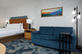 Room, 1 King Bed with Sofa bed, Microwave (Study)