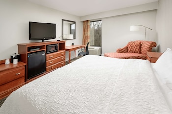 Room, 1 King Bed, Accessible, Non Smoking