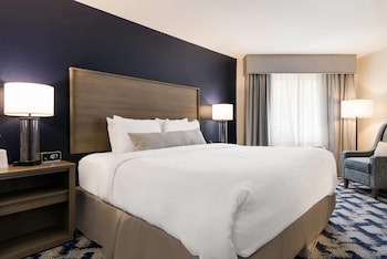 Standard Room, 1 King Bed, Non Smoking