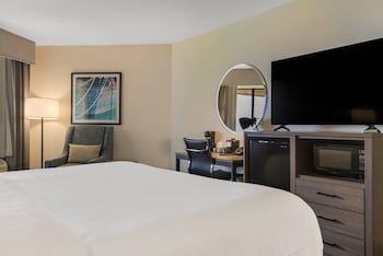 Room, 1 King Bed, Accessible, Lake View