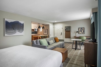 Studio Suite, 1 King Bed, Roll-in Shower, Kitchen (Mobility)