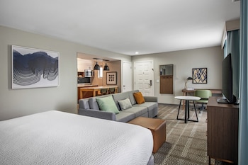 Studio Suite, 1 King Bed, Roll-in Shower, Kitchen (Mobility)