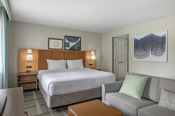 Studio Suite, 1 King Bed, Roll-in Shower, Kitchen (Mobility)