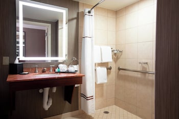 Room, 1 King Bed (Mobility/Hearing Access, Roll-In Shwr)