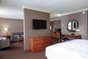 Suite, 1 King Bed with Sofa bed