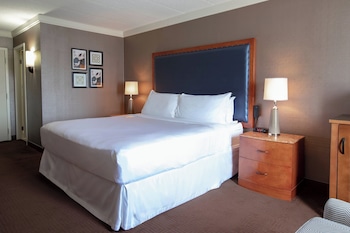 Suite, 1 King Bed