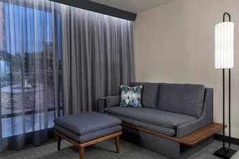 Room, 1 King Bed with Sofa bed (Mobility Accessible, Roll-In Shower)