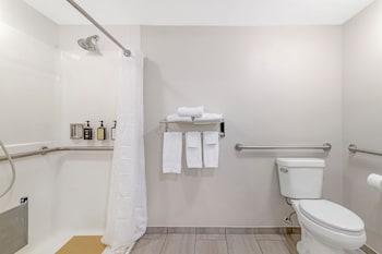 Room, 1 King Bed, Roll-in Shower, Non Smoking
