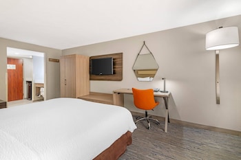 Standard Room, 1 King Bed, Non Smoking