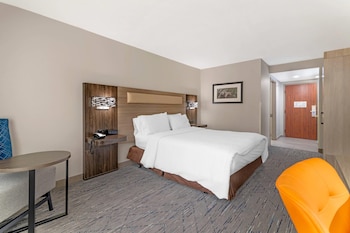 Room, 1 King Bed, Roll-in Shower, Non Smoking