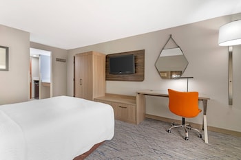 Room, 1 King Bed, Roll-in Shower, Non Smoking