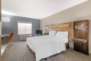 Room, 1 King Bed, Roll-in Shower, Non Smoking
