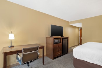 Room, 1 King Bed, Non Smoking