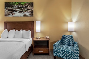 Room, 1 Queen Bed, Non Smoking