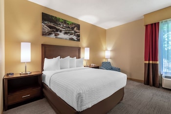 Room, 1 Queen Bed, Non Smoking