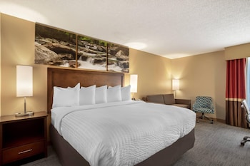 Room, 1 King Bed, Non Smoking