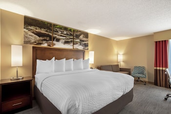 Room, 1 King Bed, Non Smoking