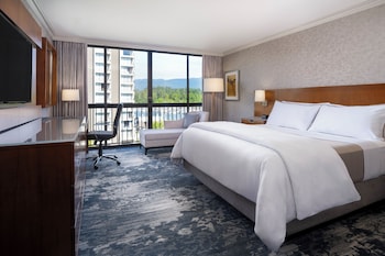 Room, 1 King Bed, Pool View