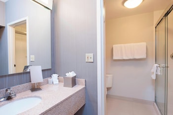 Suite, 1 Bedroom