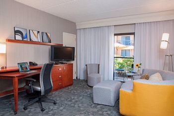 Suite, 1 King Bed with Sofa bed