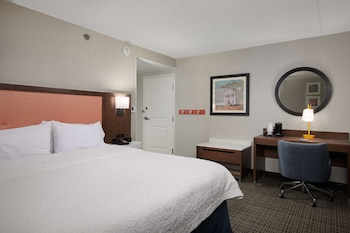 Room, 1 King Bed, Accessible, Non Smoking (Mobility & Hearing, Roll-in Shower)