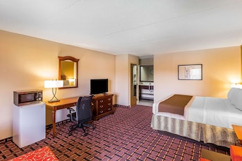 Standard Room, 1 King Bed, Non Smoking