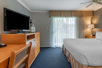 Standard Room, 1 King Bed, Non Smoking, Refrigerator & Microwave