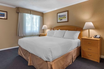 Standard Room, 2 Queen Beds, Non Smoking, Refrigerator & Microwave