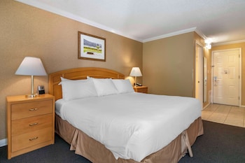Standard Room, 2 Double Beds, Non Smoking, Refrigerator & Microwave