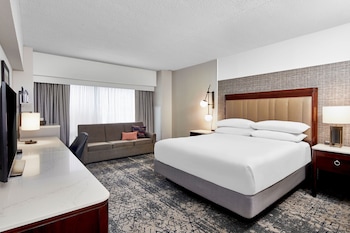 Suite, 1 King Bed with Sofa bed (Mobility Accessible, Roll-In Shower)