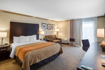Standard Room, 1 King Bed, Non Smoking