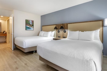 Standard Room, 2 Queen Beds, Non Smoking, Refrigerator & Microwave (Pet Friendly)