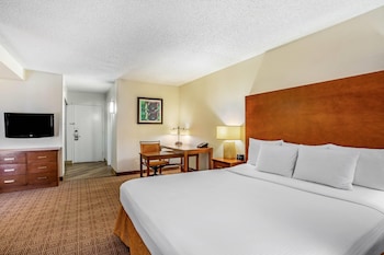 Suite, 1 King Bed, Non Smoking