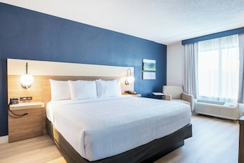 Room, 1 King Bed, Non Smoking