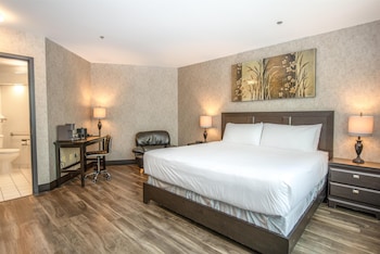 Room, 1 King Bed