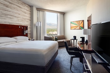 Room, 1 King Bed (Mobility/Hearing Access, Roll-In Shwr)