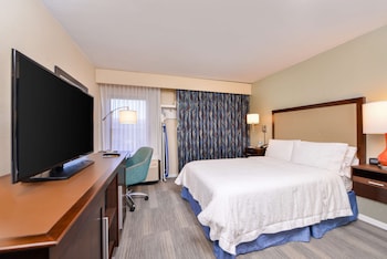 Room, 1 Double Bed, Accessible (Roll-In Shower)