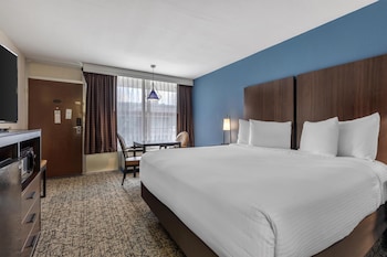 Standard Room, 1 King Bed, Non Smoking, Refrigerator & Microwave