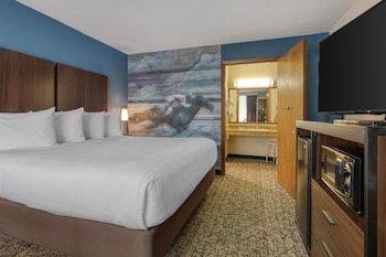 Standard Room, 1 King Bed, Accessible, Bathtub