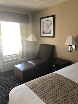Studio Suite, 1 King Bed, Smoking