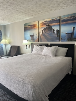 Studio Suite, 1 King Bed, Smoking